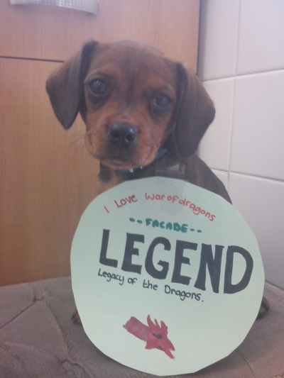 --FACADE-- player of www.warofdragons.com Legend:Legacy of the Dragons - Free to play browser game.